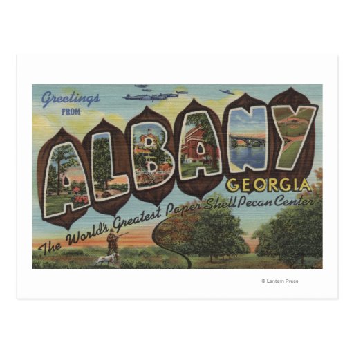 Albany, Georgia - Large Letter Scenes Postcards
