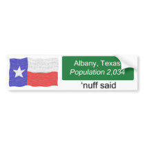 Albany Nuff Said Bumper Sticker