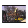 Albany Postcard