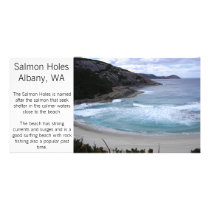 Albany - Salmon Holes photo card