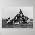 Albatros DIII Print
