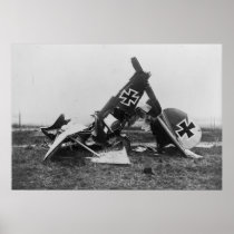 Albatros DIII Print