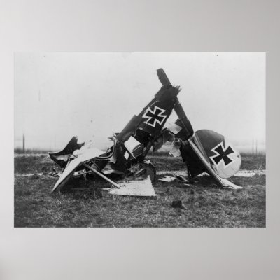 Albatros DIII Print by Dividenda