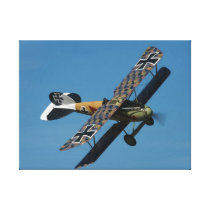 Albatross Gallery Wrapped Canvas