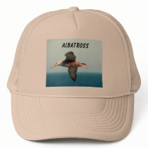 Albatross Flying Mesh Hats