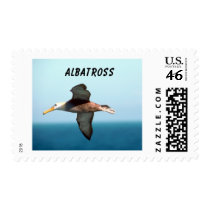 Albatross Flying Stamps