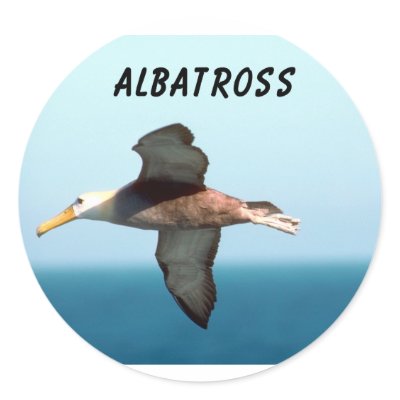 Albatross Flying Stickers by junglewalkcom