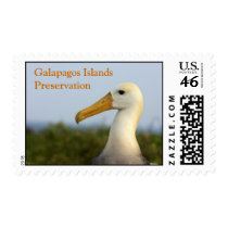 albatross, Galapagos Islands Preservation postage by karenchenoa albatross, Galapagos Islands Preservation postage