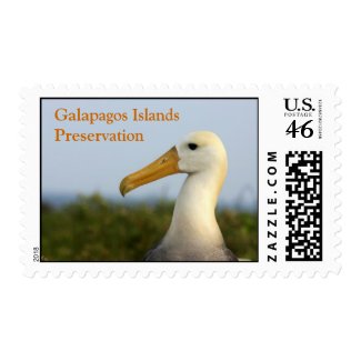 albatross, Galapagos Islands Preservation stamp