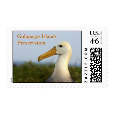 albatross, Galapagos Islands Preservation Postage Stamp by karenchenoa