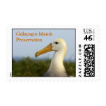 albatross, Galapagos Islands Preservation Postage Stamp