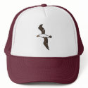 albatross hats by prawny albatross hats