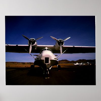 Albatross Out Of Water Poster by Night_Wolf