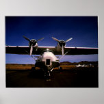 Albatross Out Of Water Poster