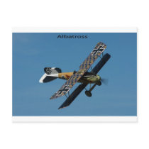 albatross postcard