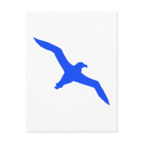 Albatross Post Card