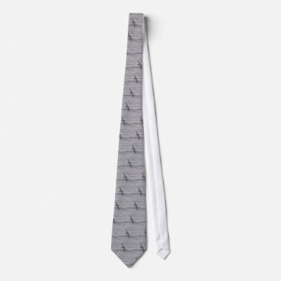 Albatross Tie by naturalphotos