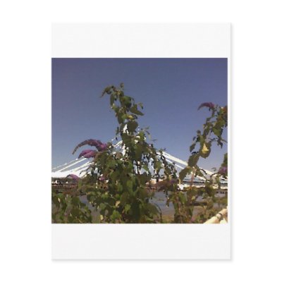 Albert Bridge, Springtime Post Card by Opal172