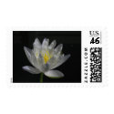 Albert de Lestang postage by utopiaaquatic Albert de Lestang postage