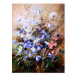 Albert Dürer Lucas: Harebells and Centaury postcards