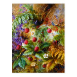 Albert Dürer Lucas: Wild Strawberries & Butterfly postcards