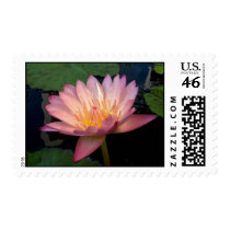 Albert Greenberg stamps