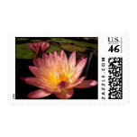 Albert Greenberg Postage Stamps