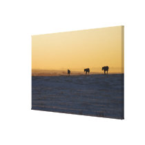Alberta, Canada 3 Gallery Wrapped Canvas