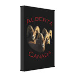 Alberta Canvas Prints