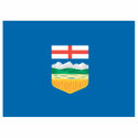 ALBERTA FLAT T-SHIRT