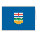 ALBERTA FLAT T-SHIRT cards