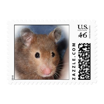 Alberta Rodent Association Hamster Stamp by abrodents