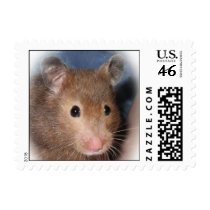 Alberta Rodent Association Hamster Stamp