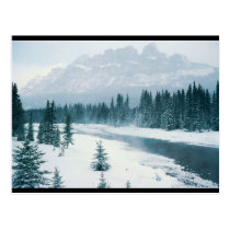 Alberta Snowy Scene postcards
