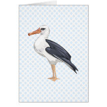 Alberto Albatross Greeting Cards