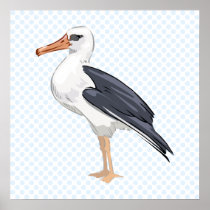 Alberto Albatross Posters