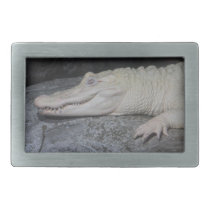 Albino Alligator Belt Buckles