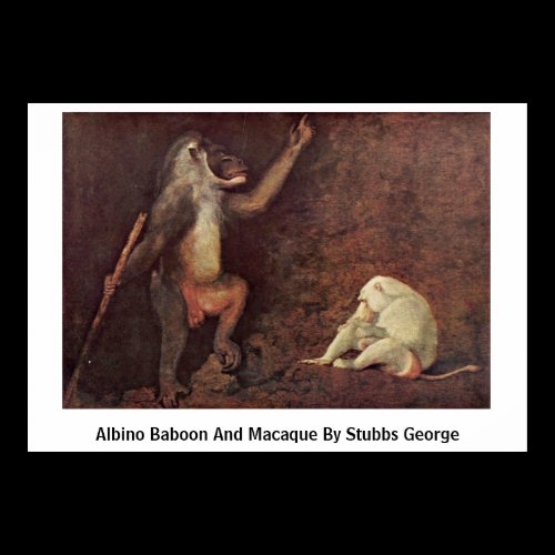 Albino Baboon And Macaque By Stubbs George Print
