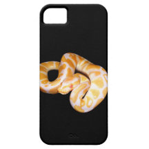 Albino ball phone case iPhone 5 covers