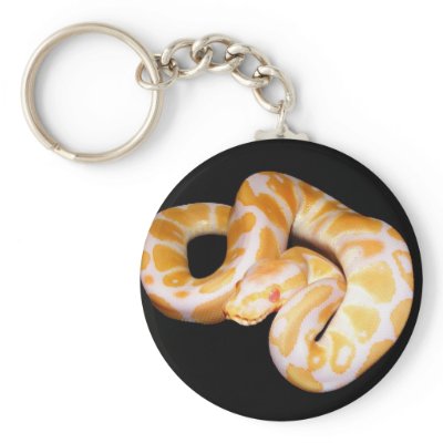 Albino Ball Python Key Chain by freya18801
