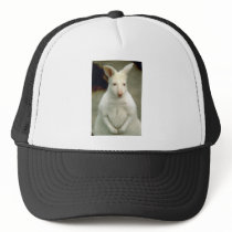 Albino Bennet's Wallaby Hats