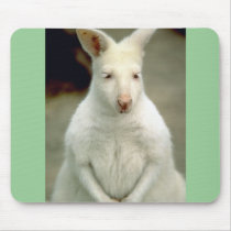 Albino Bennet's Wallaby Mousepads