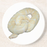 Albino Bumble Bee Beverage Coaster