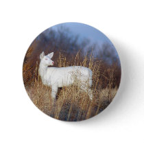 albino botons by randolph259 albino botons