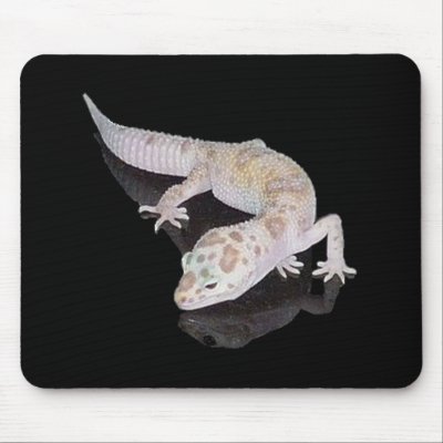 ALBINO ENIGMA LEOPARD GECKO MOUSEPAD by Gracys_Dreamscape