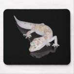 ALBINO ENIGMA LEOPARD GECKO MOUSEPAD