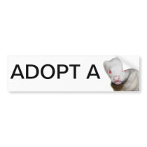 Albino Ferret Picture Bumper Stickers