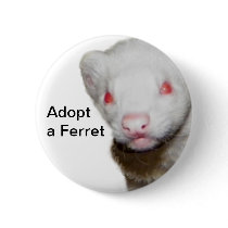 Albino Ferret Picture Buttons