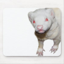 Albino Ferret Picture Mouse Pad