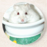 Albino Hamster Photo Beverage Coaster